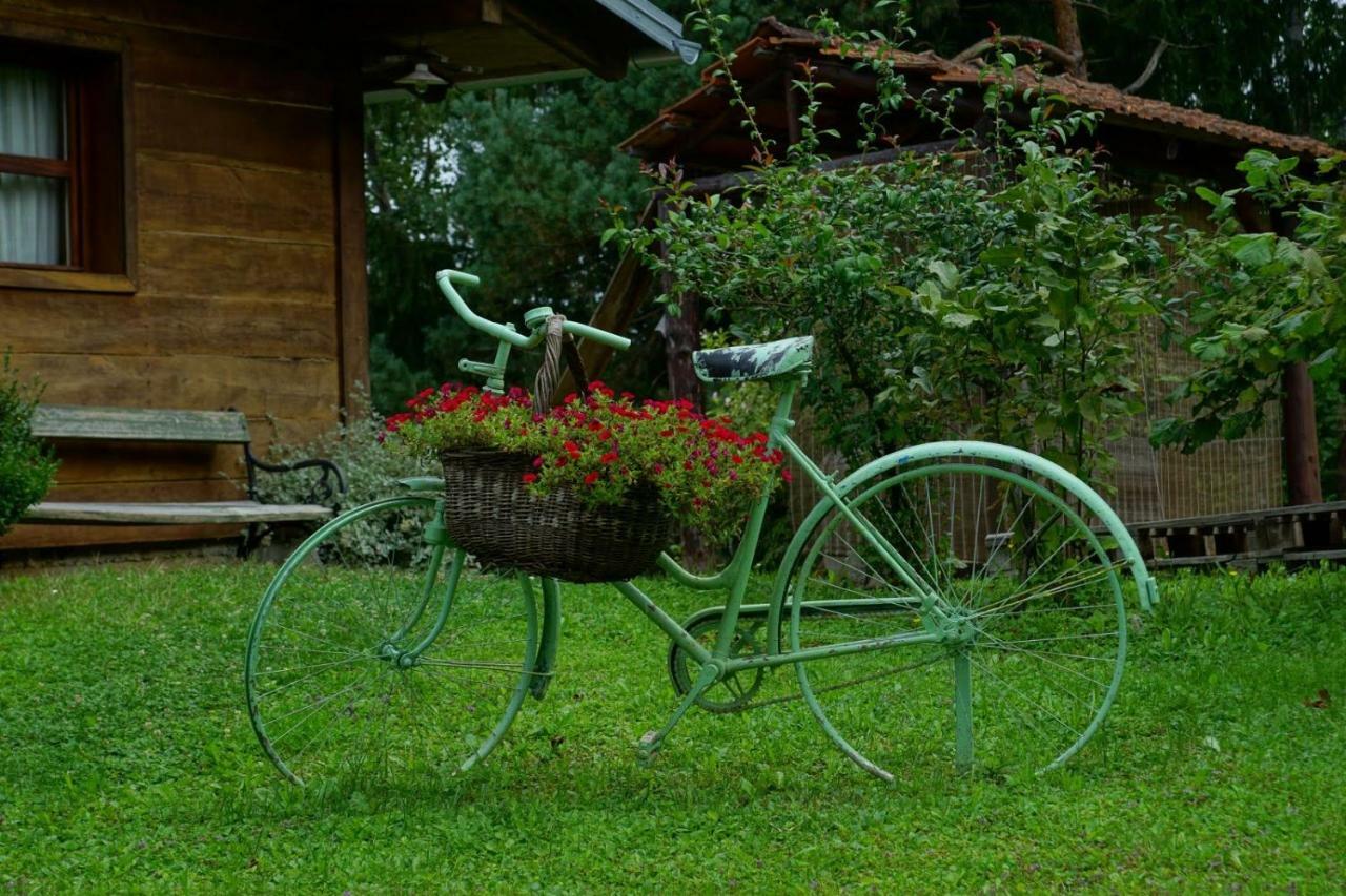 Dorina Hiza Villa Karlovac Eksteriør bilde